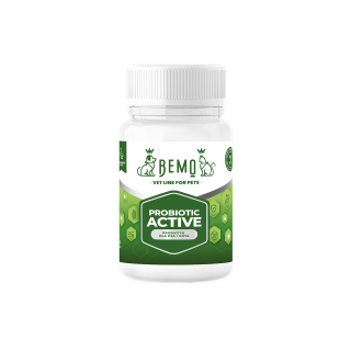 Probiotic Active  - Probiotikum für Hund und Katze