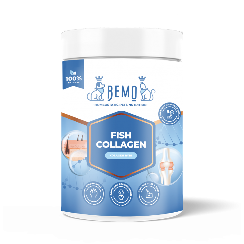 Bemo Fish Collagen - Kollagen für Hund und Katze