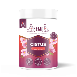 Bemo Zistrose - Zistrose (Cistus incanus) für Hund und Katze