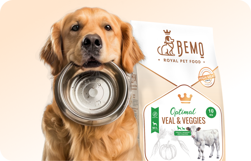 Hundefutter